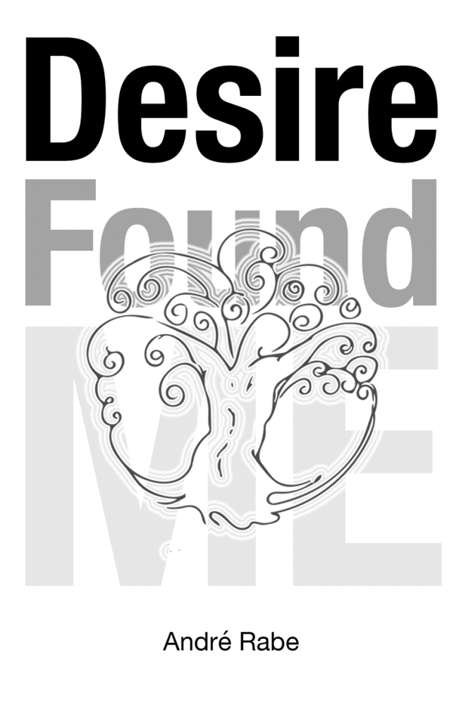 Desire Found Me book cover